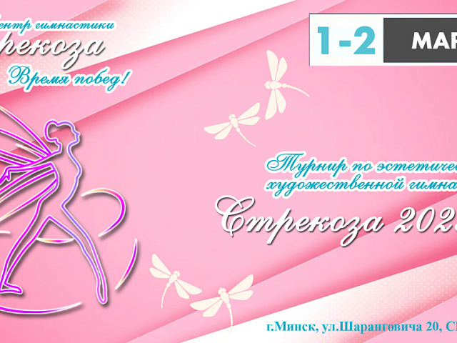 "СТРЕКОЗА 2025"  2 марта 2025 г. Художественная гимнастика