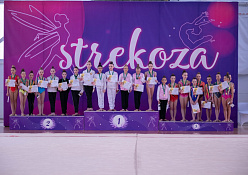 турнир "Стрекоза 2026" - 22 февраля 2026