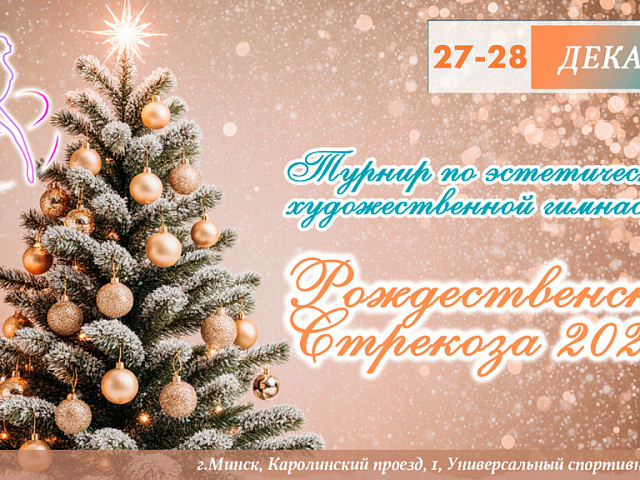 "РОЖДЕСТВЕНСКАЯ СТРЕКОЗА 2026" 28 декабря 2025 г. Художественная гимнастика