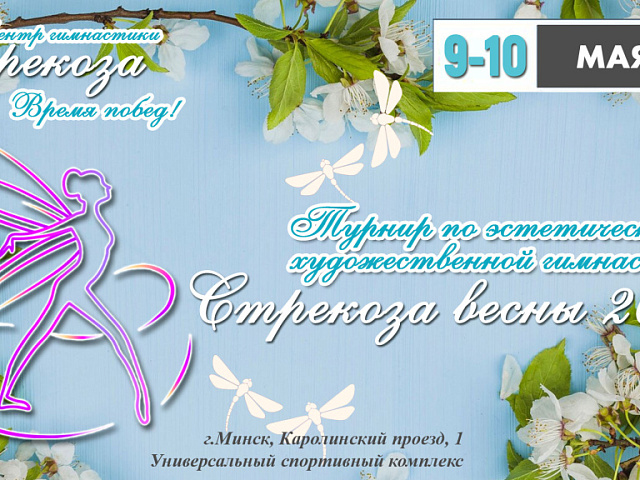 "СТРЕКОЗА ВЕСНЫ 2025" 10 мая 2025 г. Художественная гимнастика
