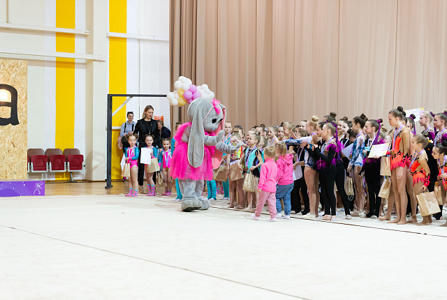 отзыв папы о турнирах "Стрекоза"