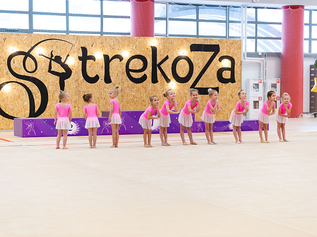 Турнир " Рождественская Стрекоза 2023" 