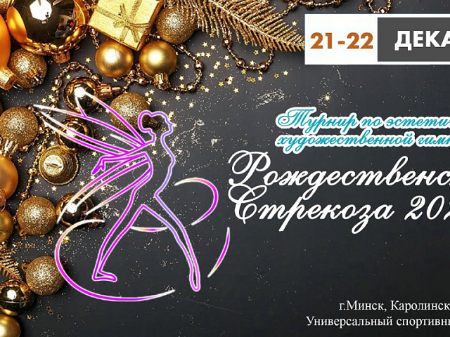 "РОЖДЕСТВЕНСКАЯ СТРЕКОЗА 2025" 22 декабря 2024 г. Художественная гимнастика
