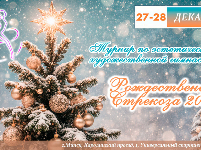 "РОЖДЕСТВЕНСКАЯ СТРЕКОЗА 2026" 27 декабря 2025 г. Художественная гимнастика
